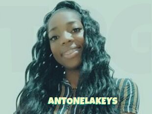 ANTONELAKEYS
