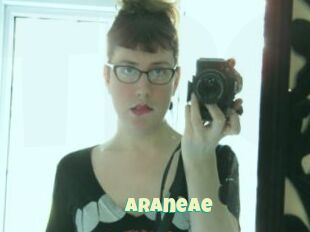 Araneae