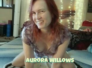 Aurora_Willows