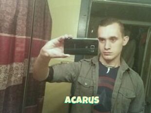 Acarus