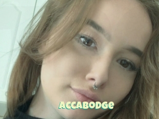 Accabodge