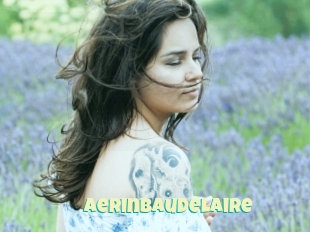 Aerinbaudelaire
