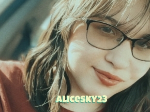 Alicesky23