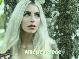 Ameliebriidge