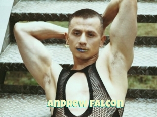 Andrew_falcon