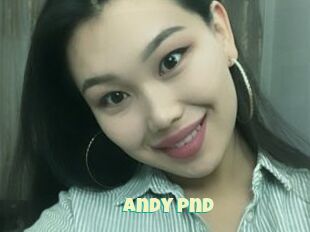 Andy_pnd