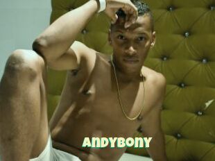 Andybony