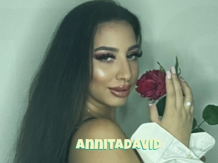 Annitadavid