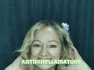 Anthonellamature