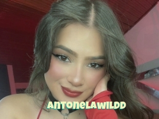 Antonelawildd