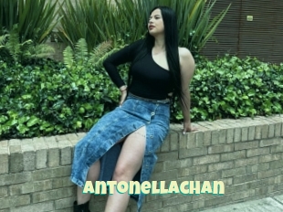 Antonellachan