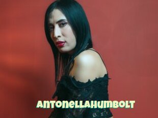 Antonellahumbolt