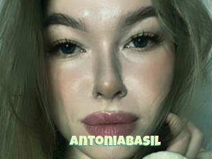 Antoniabasil