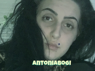 Antoniabogi