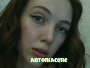 Antoniacure