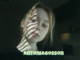Antoniagosson