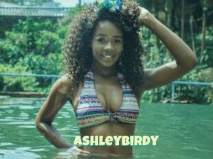 Ashleybirdy