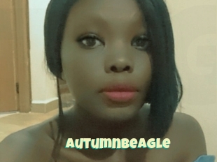Autumnbeagle