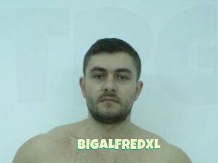 BIGALFREDXL