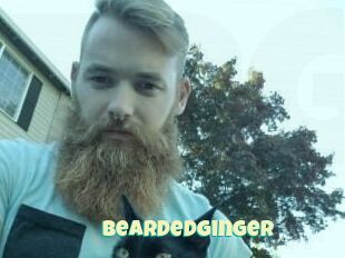 Beardedginger