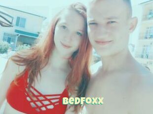 BedFoxx