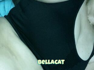 Bella_cat