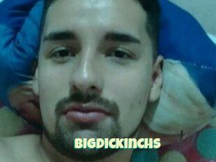 Bigdickinchs