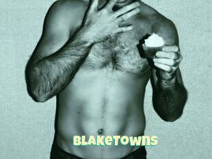 BlakeTowns
