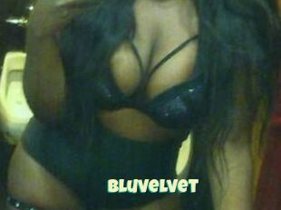 Bluvelvet