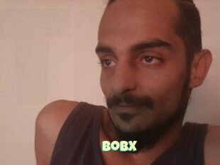 BobX