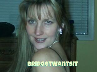 BridgetWantsIT