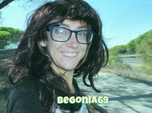 Begonia69
