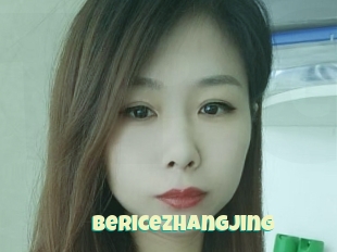 Bericezhangjing