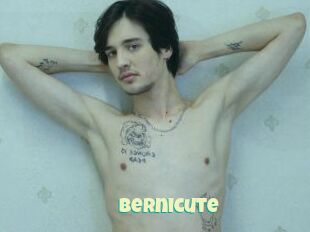 Bernicute