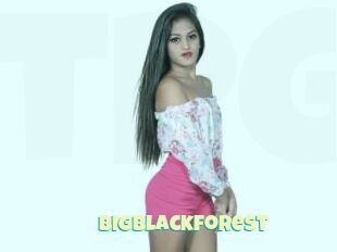 Bigblackforest