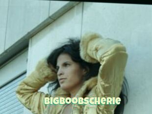 Bigboobscherie