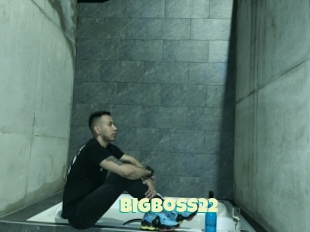 Bigboss22
