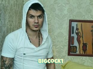 Bigcock1