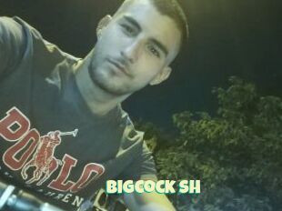 Bigcock_sh