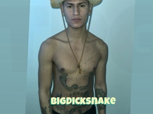 Bigdicksnake