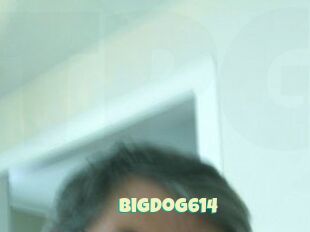 Bigdog614