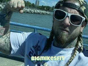 Bigmikesfit