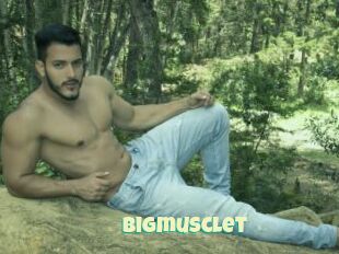 Bigmusclet