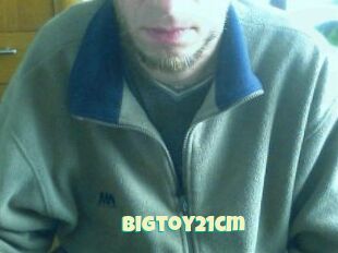Bigtoy21cm