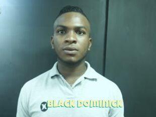 Black_dominick
