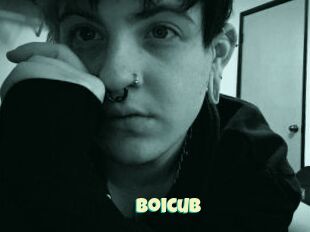 Boicub