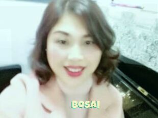 Bosai