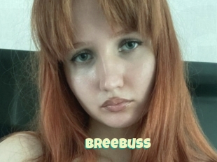 Breebuss