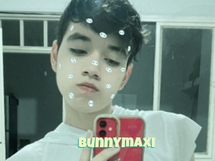 Bunnymaxi