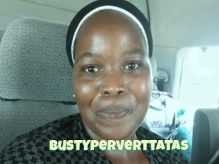 Bustyperverttatas